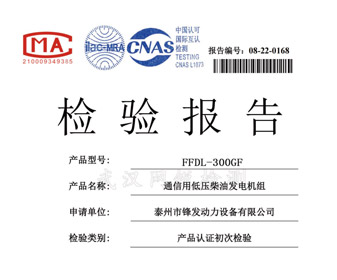 玉柴300KW檢驗(yàn)報(bào)告 檢測報(bào)告