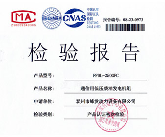 250KW東康檢驗(yàn)報(bào)告 檢測報(bào)告