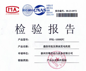 1000KW重康檢驗(yàn)報(bào)告 檢測報(bào)告